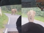 The image shows an elephant charging towards a bus full of passengers. 