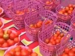 Tomatoes kept for distribution at Warangal.