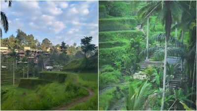 Bali is known for its lush green landscapes and pleasant weather, and Samantha's pictures give a glimpse of the same. (Instagram) Bali is known for its lush green landscapes and pleasant weather, and Samantha's pictures give a glimpse of the same. (Instagram)