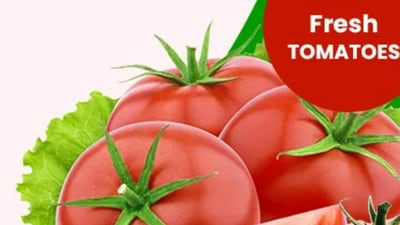 Online sale of discounted tomatoes through ONDC. (Magicpin) Online sale of discounted tomatoes through ONDC. (Magicpin)