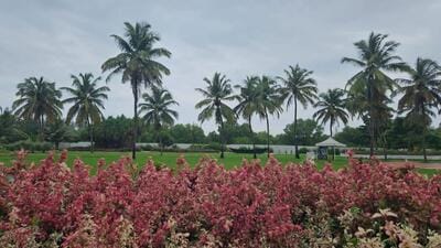Sitting by the Arabian Sea amid the flora and fauna glittering in glorious robes of vibrant green, I felt refreshed. (HT Photo) Sitting by the Arabian Sea amid the flora and fauna glittering in glorious robes of vibrant green, I felt refreshed. (HT Photo)