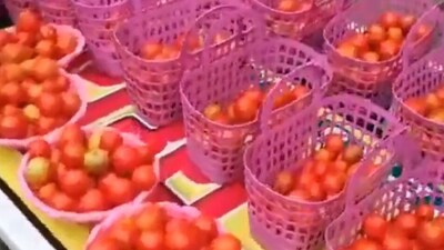 Tomatoes kept for distribution at Warangal. (Twitter) Tomatoes kept for distribution at Warangal. (Twitter)