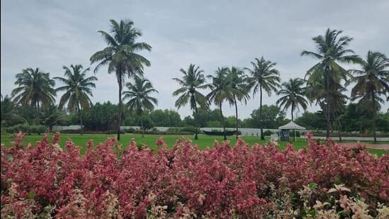 Sitting by the Arabian Sea amid the flora and fauna glittering in glorious robes of vibrant green, I felt refreshed. (HT Photo)