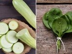 Eating a balanced diet is recommended in monsoon but not all vegetables are suitable for Varsha Ritu and some can disrupt digestive fire or Agni. Eating a balanced diet is recommended in monsoon but not all vegetables are suitable for Varsha Ritu and some can disrupt digestive fire or Agni.