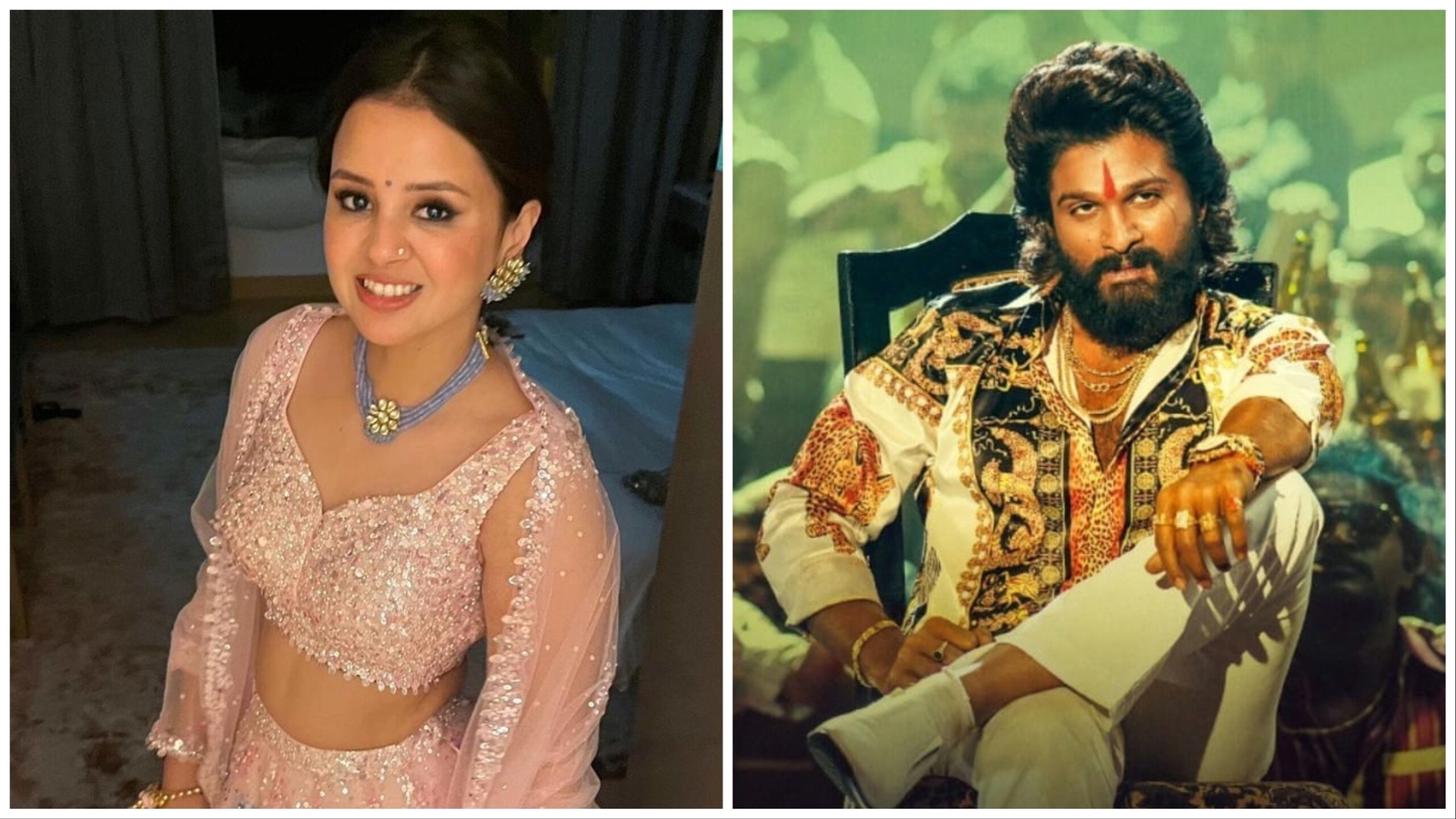 Sakshi Dhoni: 'Growing up, I watched all Allu Arjun movies dubbed in Hindi' - Vimarsana News