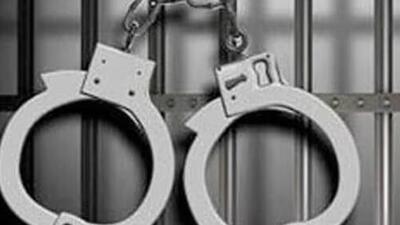 According to police, the consignment came from Mizoram and was going towards West Bengal. (Representative file image) According to police, the consignment came from Mizoram and was going towards West Bengal. (Representative file image)
