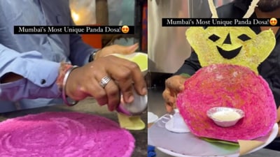 Street vendor makes panda shaped dosa. (Instagram/@Palak Kapoor) Street vendor makes panda shaped dosa. (Instagram/@Palak Kapoor)