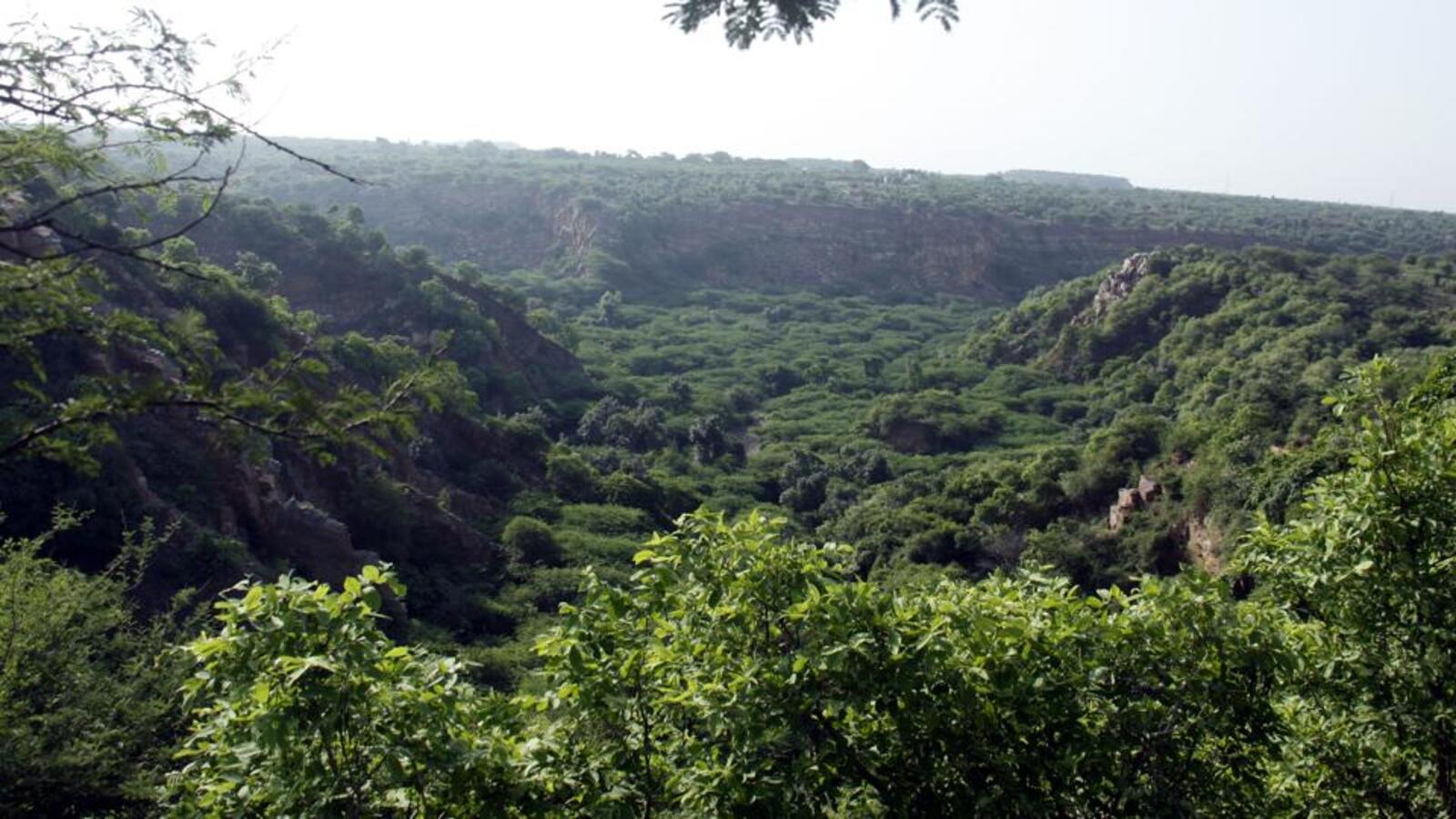 Lok Sabha clears contentious bill that seeks to amend forest act - Vimarsana News
