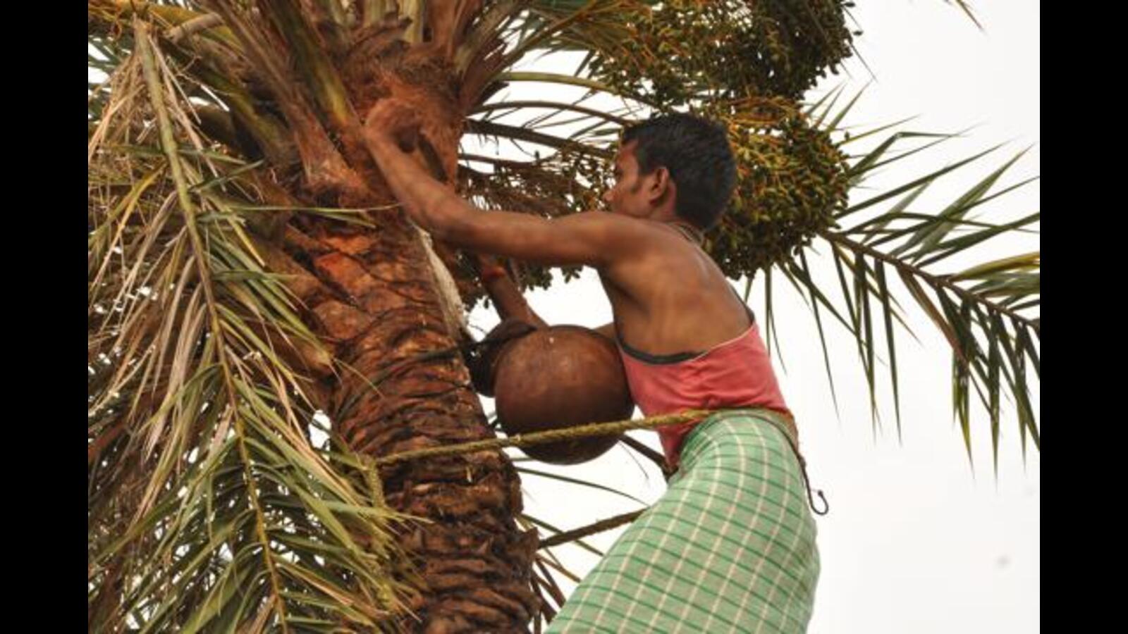 Kerala govt gives nod to new liquor policy, hikes bar license fee - Vimarsana News