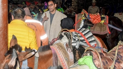 Data for 2022 shows that of the over 1.5 million pilgrims who visited the shrine during the entirety of the yatra between April and October, 530,000 used mules to cover the trek. (Princess Ilvita) Data for 2022 shows that of the over 1.5 million pilgrims who visited the shrine during the entirety of the yatra between April and October, 530,000 used mules to cover the trek. (Princess Ilvita)