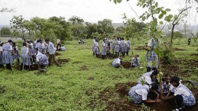 The highest green cover in Pune city is at Sahakarnagar-Dhankawadi ward office area, as per ESR 2022-23 released by PMC on Wednesday. (HT FILE (PIC FOR REPRESENTATION))