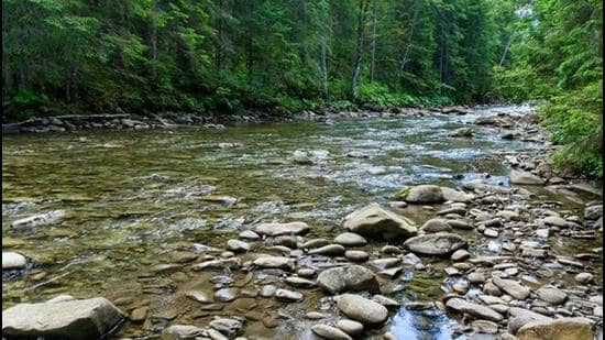 Explaining the process to revive the old channels, Prof Chaudhri said the paleochannels (a deposit of sediment filling the course of an ancient river) of Saraswati river would have to be first demarcated on the ground. (HT File/Picture for representational purposes)