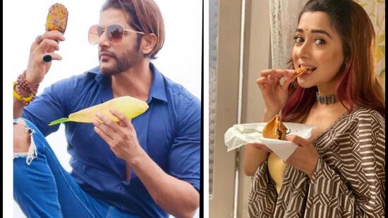 Karanvir Bohra and Tina Datta