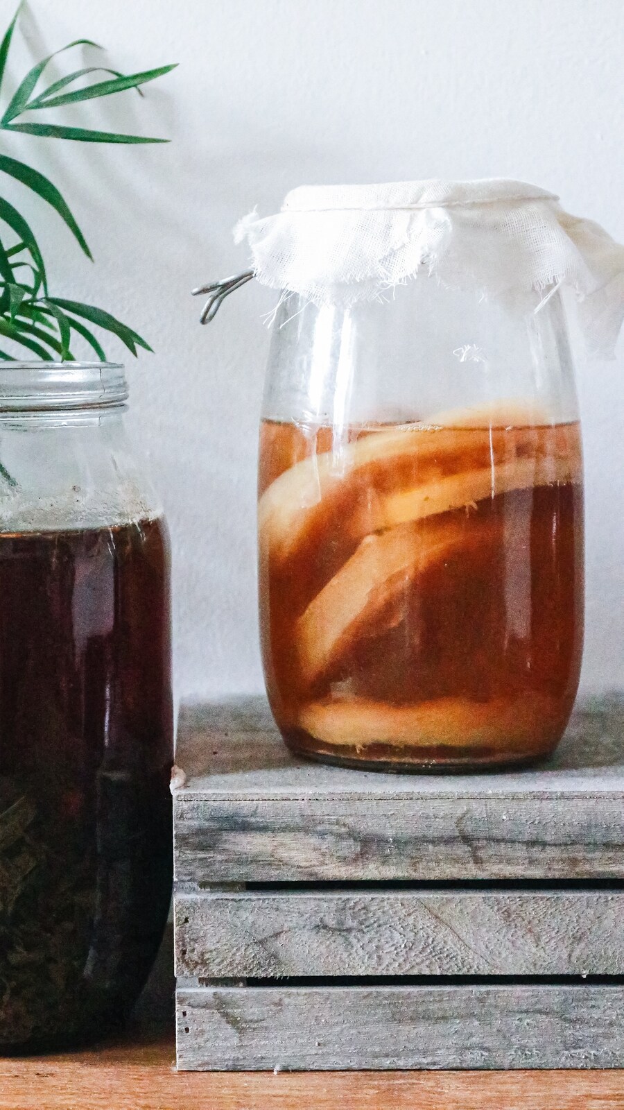 kombucha1