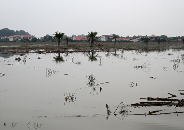 Water from the Yamuna enters fields and houses near Sector 135 in Noida on Tuesday. (Sunil Ghosh/HT Photo) Water from the Yamuna enters fields and houses near Sector 135 in Noida on Tuesday. (Sunil Ghosh/HT Photo)