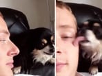 The image shows the dog giving sneaky kisses to its human. 