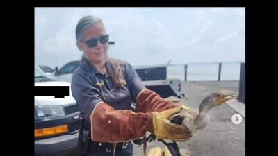 A bird got stuck on fisherman's line while trying to steal a fish. (Instagram/@Harford Co Sheriff’s office) A bird got stuck on fisherman's line while trying to steal a fish. (Instagram/@Harford Co Sheriff’s office)
