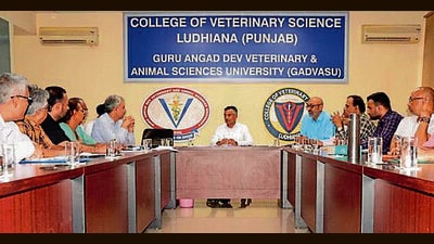 Veterinary experts during a meeting at the varsity on Thursday. (HT PHOTO) Veterinary experts during a meeting at the varsity on Thursday. (HT PHOTO)