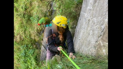 Woman stranded after trying to rescue a parrot. (Facebook/@ Ogwen Valley Mountain Rescue Team) Woman stranded after trying to rescue a parrot. (Facebook/@ Ogwen Valley Mountain Rescue Team)
