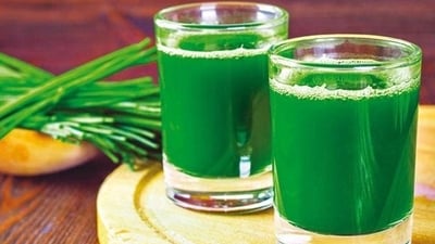Wheatgrass juice promotes would healing being anti-inflammatory in nature and also reduces odour. Chlorophyllin has bacteriostatic properties aiding in wound healing, and stimulates the production of haemoglobin. (Shutterstock) Wheatgrass juice promotes would healing being anti-inflammatory in nature and also reduces odour. Chlorophyllin has bacteriostatic properties aiding in wound healing, and stimulates the production of haemoglobin. (Shutterstock)