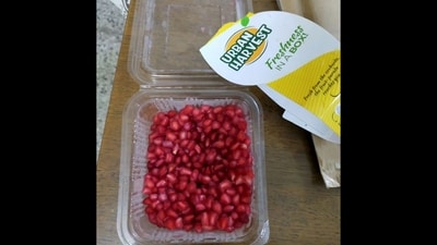 Samdish Bhatia shared this picture of a box of pomegranate he ordered online and claimed it tasted like ‘nail polish’. (Instagram/@samdishbhatia) Samdish Bhatia shared this picture of a box of pomegranate he ordered online and claimed it tasted like ‘nail polish’. (Instagram/@samdishbhatia)