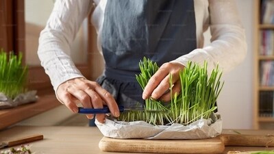 It is a natural treatment for lowering high blood pressure. The fibre content can help sweep away cholesterol from the digestive tract and by dilating the blood pathways throughout the body. (Freepik) It is a natural treatment for lowering high blood pressure. The fibre content can help sweep away cholesterol from the digestive tract and by dilating the blood pathways throughout the body. (Freepik)