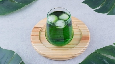 Wheatgrass is commonly known as 'living food' because of the presence of the highest chlorophyll content which contributes 70% of the total chemical constituent. Wheat grass juice is a powerhouse of vitamins, calcium, iron, magnesium, sodium, many kinds of amino acids, says Nutritionist Lovneet Batra. (Freepik) Wheatgrass is commonly known as 'living food' because of the presence of the highest chlorophyll content which contributes 70% of the total chemical constituent. Wheat grass juice is a powerhouse of vitamins, calcium, iron, magnesium, sodium, many kinds of amino acids, says Nutritionist Lovneet Batra. (Freepik)