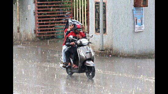 Due to robust rain over the last 15 days, three (Konkan, Goa and Vidarbha) out of the four meteorological sub-divisions in Maharashtra are experiencing excess rainfall (HT FILE PHOTO)