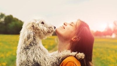 Pawsome benefits and pawsitive vibes: How furry friends are boosting mental health of pet-parents (File Photo) Pawsome benefits and pawsitive vibes: How furry friends are boosting mental health of pet-parents (File Photo)