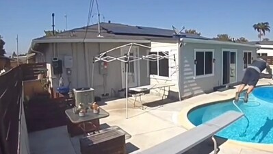 Amazon Driver Makes his dive Viral in Backyard Pool Video (Twitter) Amazon Driver Makes his dive Viral in Backyard Pool Video (Twitter)