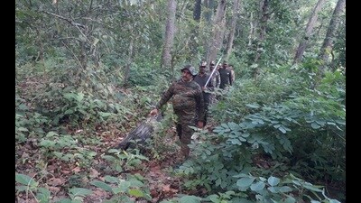 Dudhwa Tiger Reserve officials taking out Long Route Patrolling in Dudhwa on Friday (HT Photo)