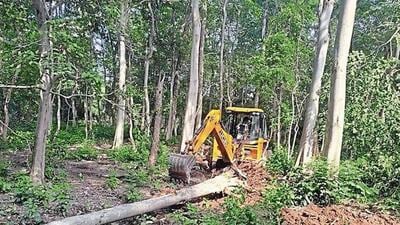 The 30-page audit report, submitted to the Uttarakhand government earlier this month, mostly focussed on the proposed tiger safari in Pakhro block (File Photo) The 30-page audit report, submitted to the Uttarakhand government earlier this month, mostly focussed on the proposed tiger safari in Pakhro block (File Photo)