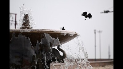 The maximum temperature the city recorded on Friday was 36.5 degrees Celsius while the minimum was 29.2 degrees Celsius even as the relative humidity hovered between 85% and 58%, the weather dept said. (Deepak Gupta/HT) The maximum temperature the city recorded on Friday was 36.5 degrees Celsius while the minimum was 29.2 degrees Celsius even as the relative humidity hovered between 85% and 58%, the weather dept said. (Deepak Gupta/HT)