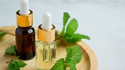 Aids digestion, relieves gas and bloating: Do you feel too full even before you eat? You need to address the problem of bloating. Peppermint is said to relax muscles around bowel and this helps alleviate bloating, cramps and gas. (Freepik) Aids digestion, relieves gas and bloating: Do you feel too full even before you eat? You need to address the problem of bloating. Peppermint is said to relax muscles around bowel and this helps alleviate bloating, cramps and gas. (Freepik)