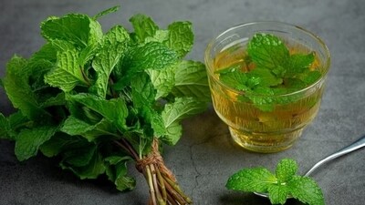Enhances mental clarity and focus: Peppermint can help calm your nerves and reduce stress. This can in turn help improve focus, concentration and bring mental clarity. (Freepik) Enhances mental clarity and focus: Peppermint can help calm your nerves and reduce stress. This can in turn help improve focus, concentration and bring mental clarity. (Freepik)