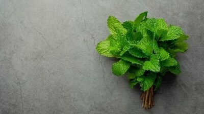 Provides headache relief: Menthol in peppermint can relax muscles and release tension. This can be effective in curing a headache or a migraine. (Freepik) Provides headache relief: Menthol in peppermint can relax muscles and release tension. This can be effective in curing a headache or a migraine. (Freepik)