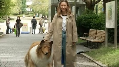 A Japanese man transformed into a dog by spending $20K. (YouTube)