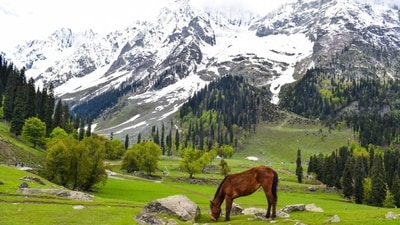 For travellers seeking a glimpse of the untouched beauty of the Neelam Valley, the village of Keran beckons with open arms. (Unsplash ) For travellers seeking a glimpse of the untouched beauty of the Neelam Valley, the village of Keran beckons with open arms. (Unsplash )
