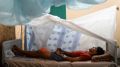 Dengue cases in the Americas exceed 3 million this year, the second-highest annual incidence since 1980. (Photo by Ernesto BENAVIDES / AFP) Dengue cases in the Americas exceed 3 million this year, the second-highest annual incidence since 1980. (Photo by Ernesto BENAVIDES / AFP)