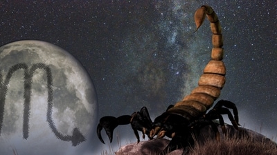 Weekly Horoscope Scorpio, July 30 - August 5, 2023: Some minor frictions cannot break the relationship and instead it gets stronger.