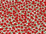 Brain Teaser: Can you find a crab in this picture? Brain Teaser: Can you find a crab in this picture?