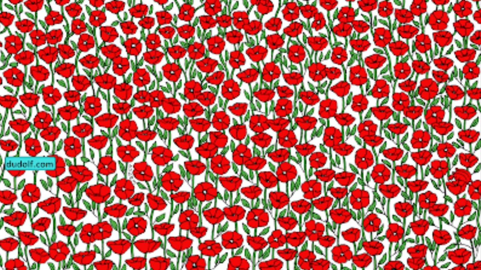 Brain Teaser: A crab is hiding in this poppy field. Can you find it? - Vimarsana News