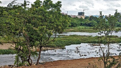 Apart from fieldwork such as site visits, preparation of reports, and execution of desilting, the committee will actively seek CSR funds from private companies for the said work. (HT PHOTO)