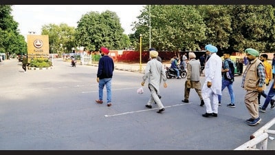Around 10,000 people cross the busy stretch between PGIMER and PU daily. (Sanjeev Sharma/HT) Around 10,000 people cross the busy stretch between PGIMER and PU daily. (Sanjeev Sharma/HT)