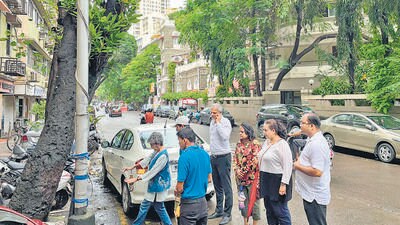 Former corporator Makarand Narwekar along with Colaba residents inspects trees. (HT Photo) Former corporator Makarand Narwekar along with Colaba residents inspects trees. (HT Photo)