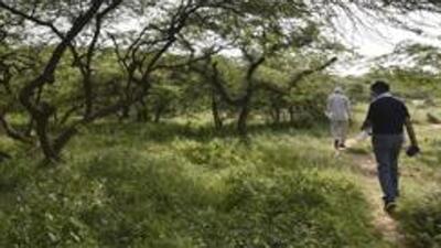 Rai added that through the Van Mahotsav programme, the government was not only adding to Delhi’s green cover but also creating more websites to share information on greening. (HT Archive) Rai added that through the Van Mahotsav programme, the government was not only adding to Delhi’s green cover but also creating more websites to share information on greening. (HT Archive)