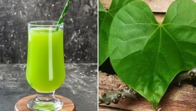 5. Giloy juice: You can start with 10 ml in morning daily with warm water 1 hour before meals (juice is most potent but also heavy to digest so good only for those with good metabolism) 