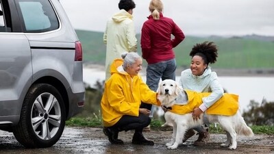 Monsoon can bring various challenges with it for pet owners. Essential steps can help in ensuring a safe and comfortable journey. (Freepik)