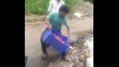 BJP's Amit Malviya shared a purported video of apple growers throwing their produce in the river.