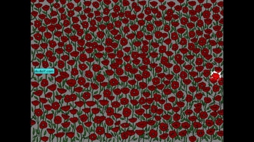 Brain Teaser: The image highlights the crab in the poppy field. (Gergely Dudás) Brain Teaser: The image highlights the crab in the poppy field. (Gergely Dudás)